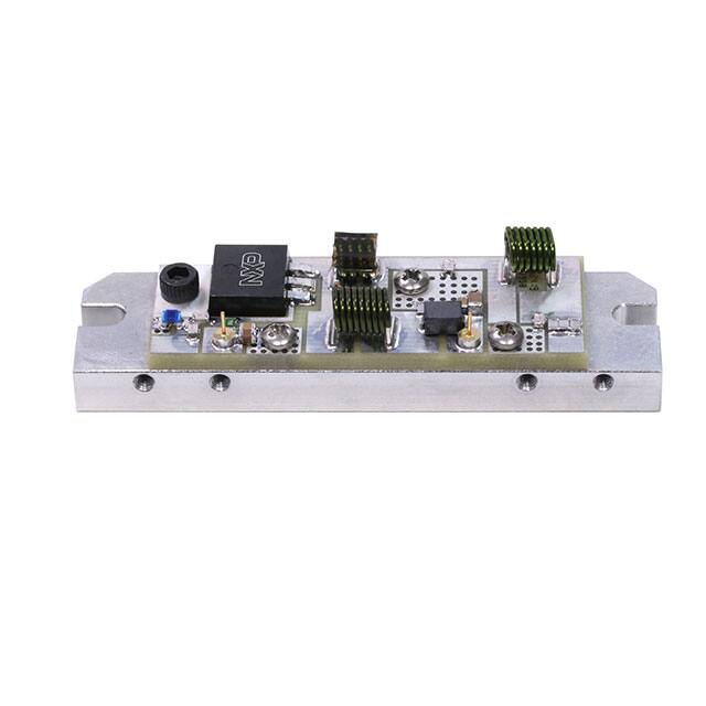 NXP Semiconductors MRF101AN-50MHZ
